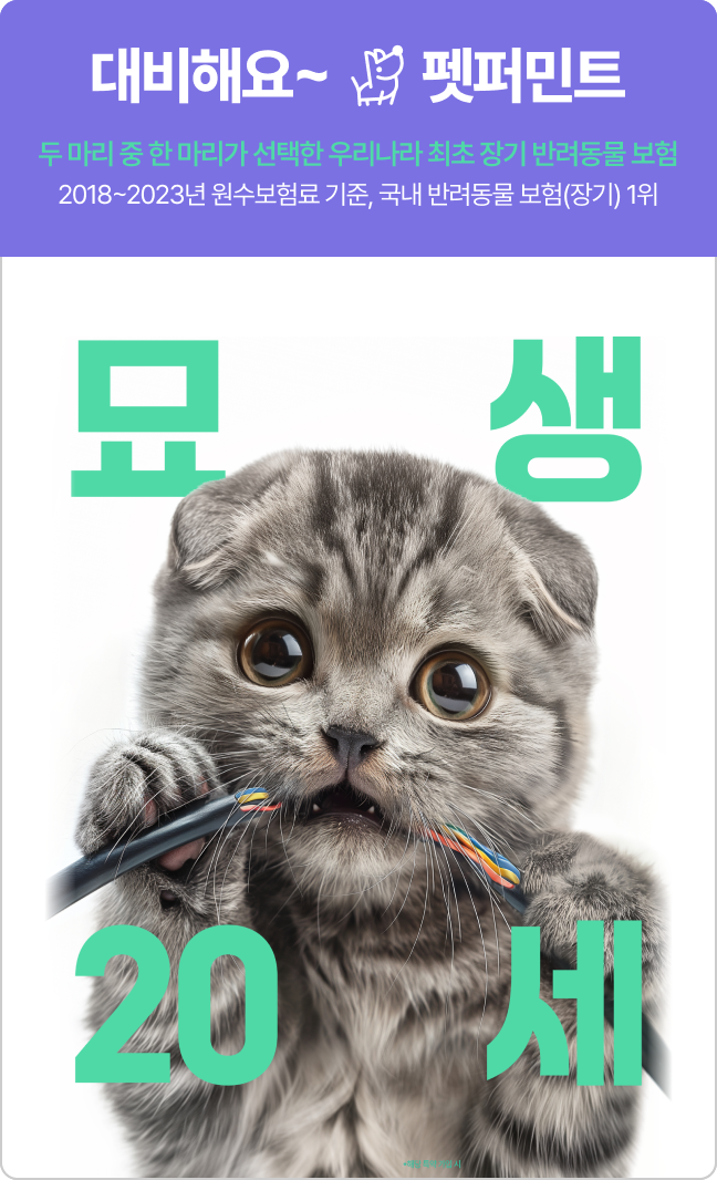 대비해요~ 펫퍼민트 묘생 관련 설명