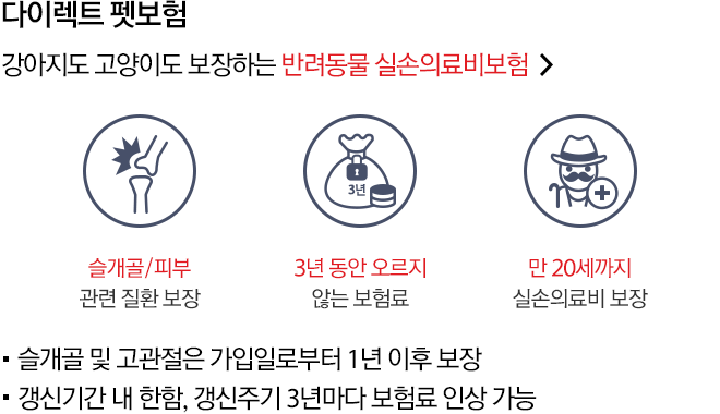 다이렉트 펫보험 - 강아지도 고양이도 보장하는 반려동물 실손의료비보험