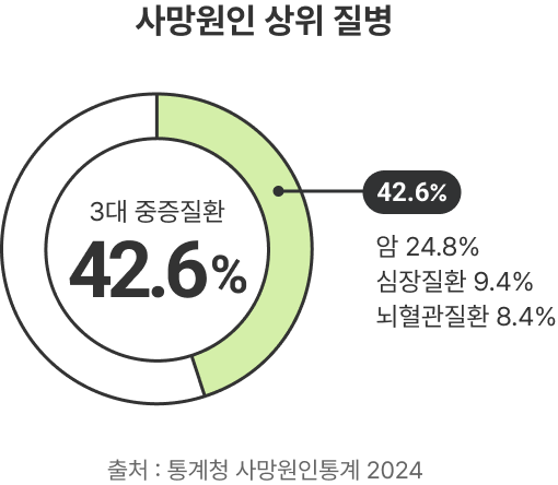 사망원인 상위 질병: 3대 중증질환 42.6%(암 24.8%, 심장질환 9.4%, 뇌혈관질환 8.4%) 출처: 통계청 사망원인통계 2024