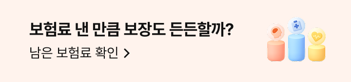 보험료 낸 만큼 보장도 든든할까? 남은 보험료 확인